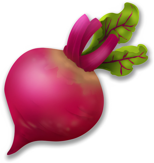 Beetroot (x150)