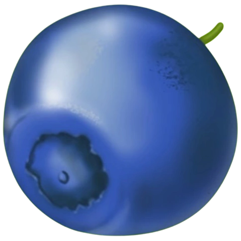 Blueberries (x150)