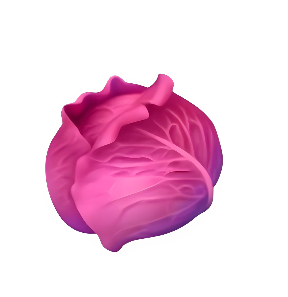 Cabbage (x150)