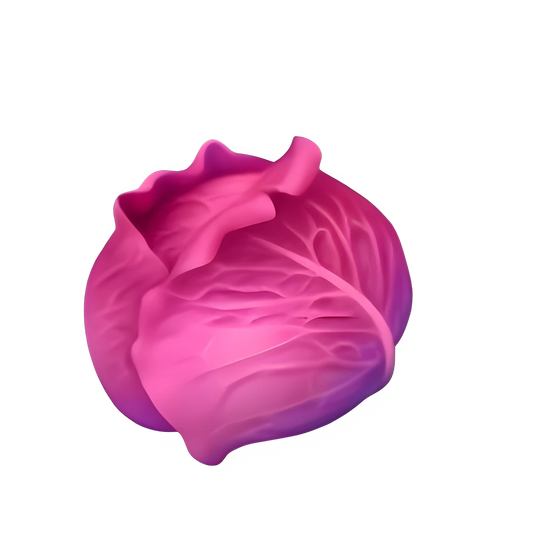 Cabbage (x150)