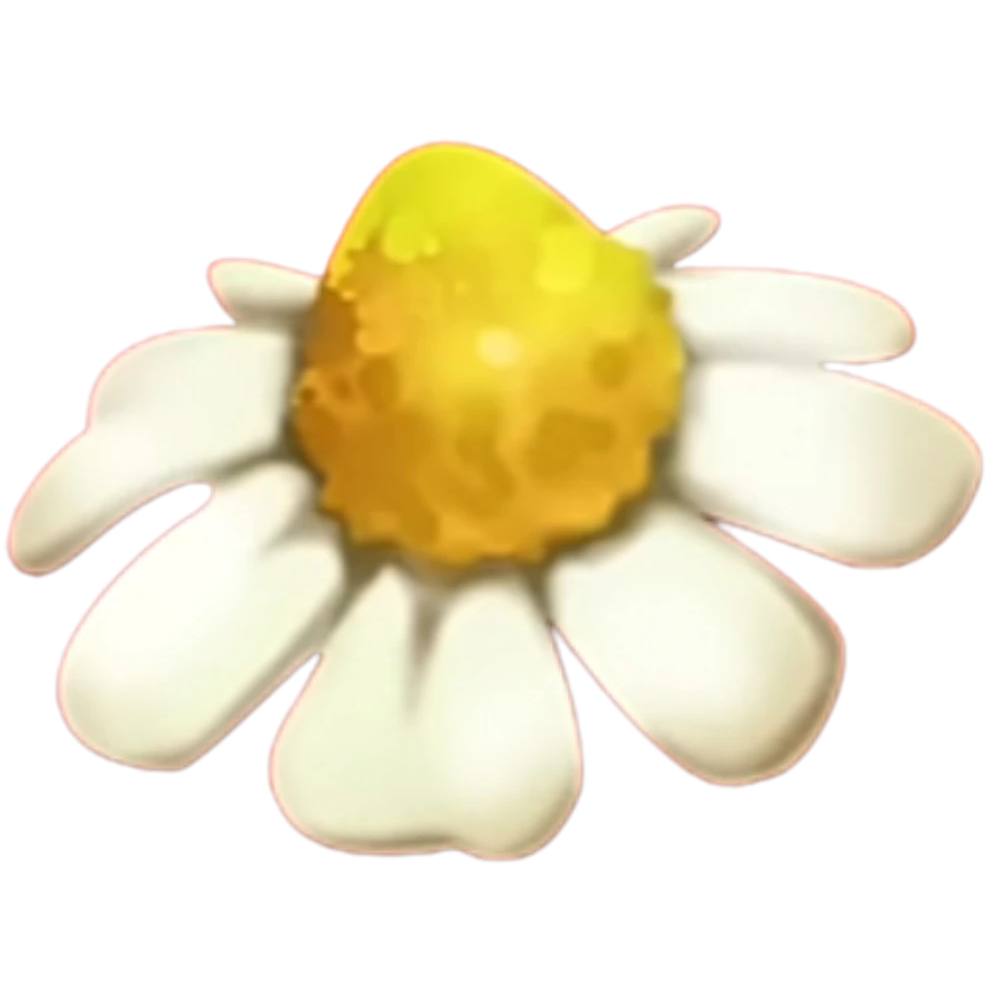 Chamomile (x150)