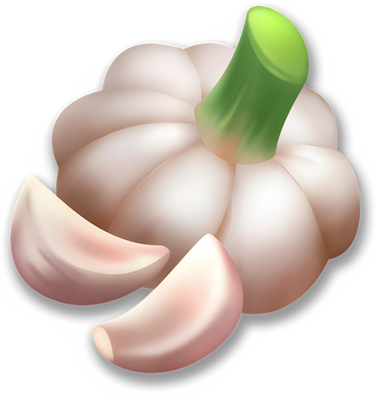 Garlic (x150)