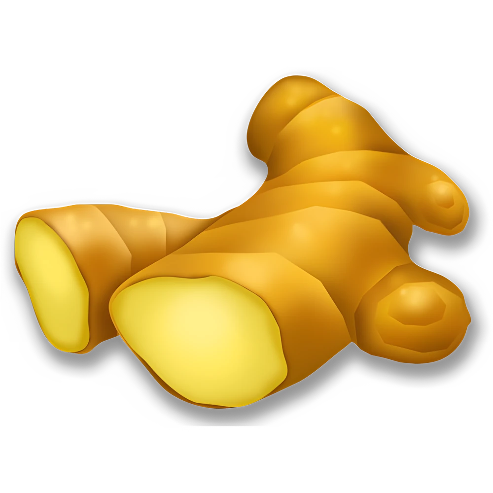 Ginger (x150)