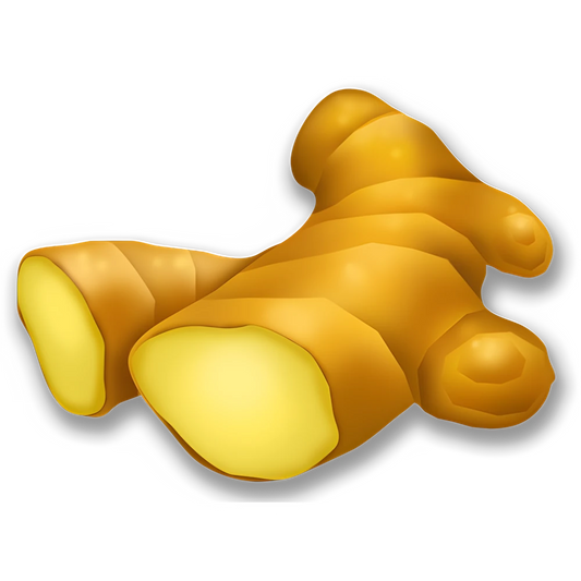Ginger (x150)