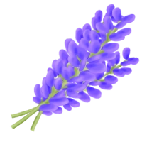 Indigo (x150)