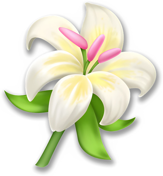 Lily (x150)