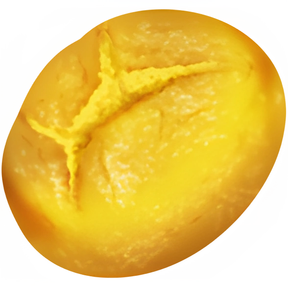 Potato Bread (x50)