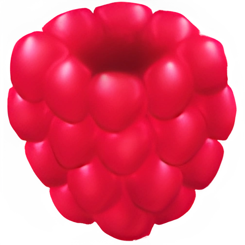 Raspberry (x150)