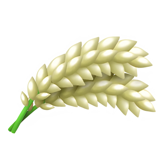 Rice (x150)