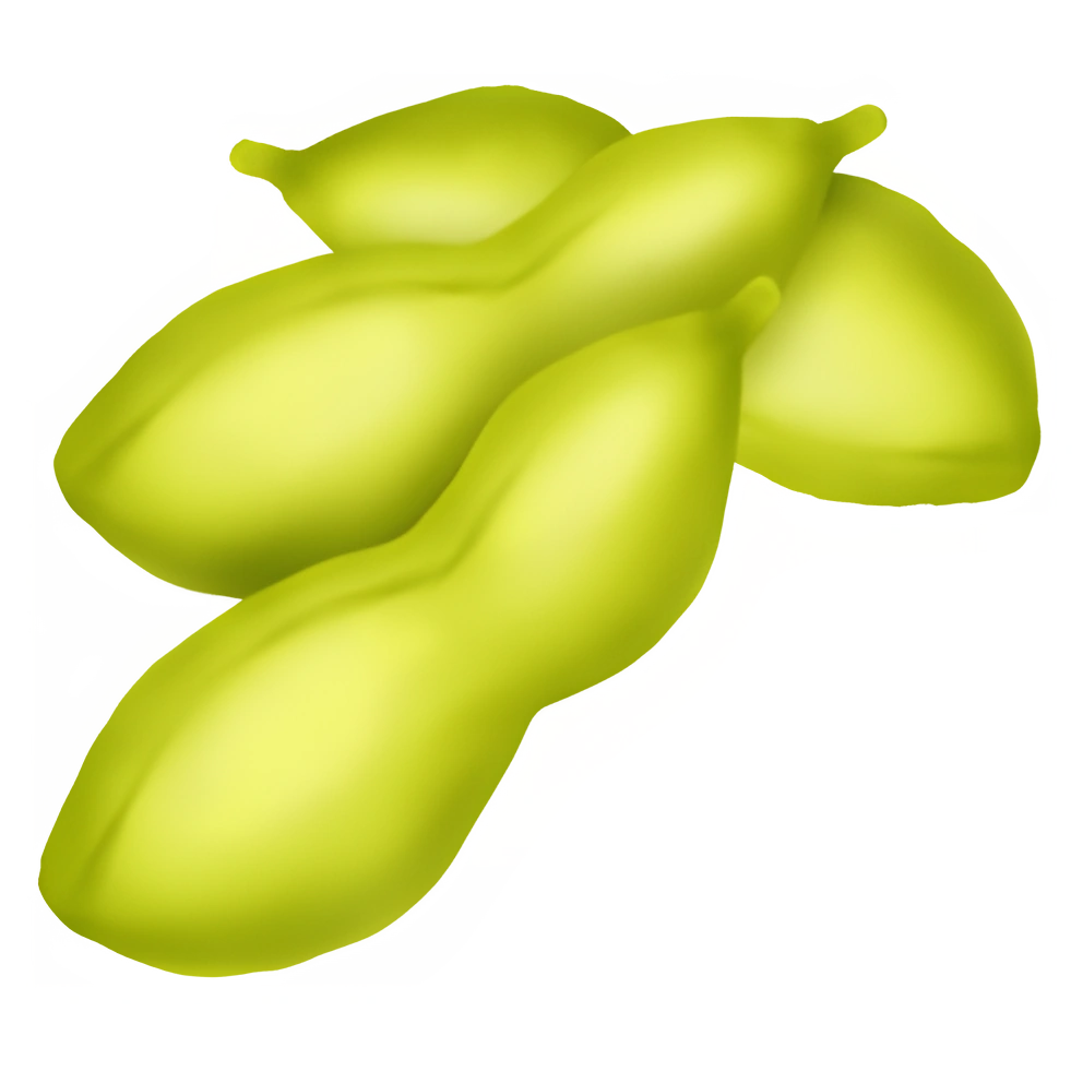 Soybean (x150)