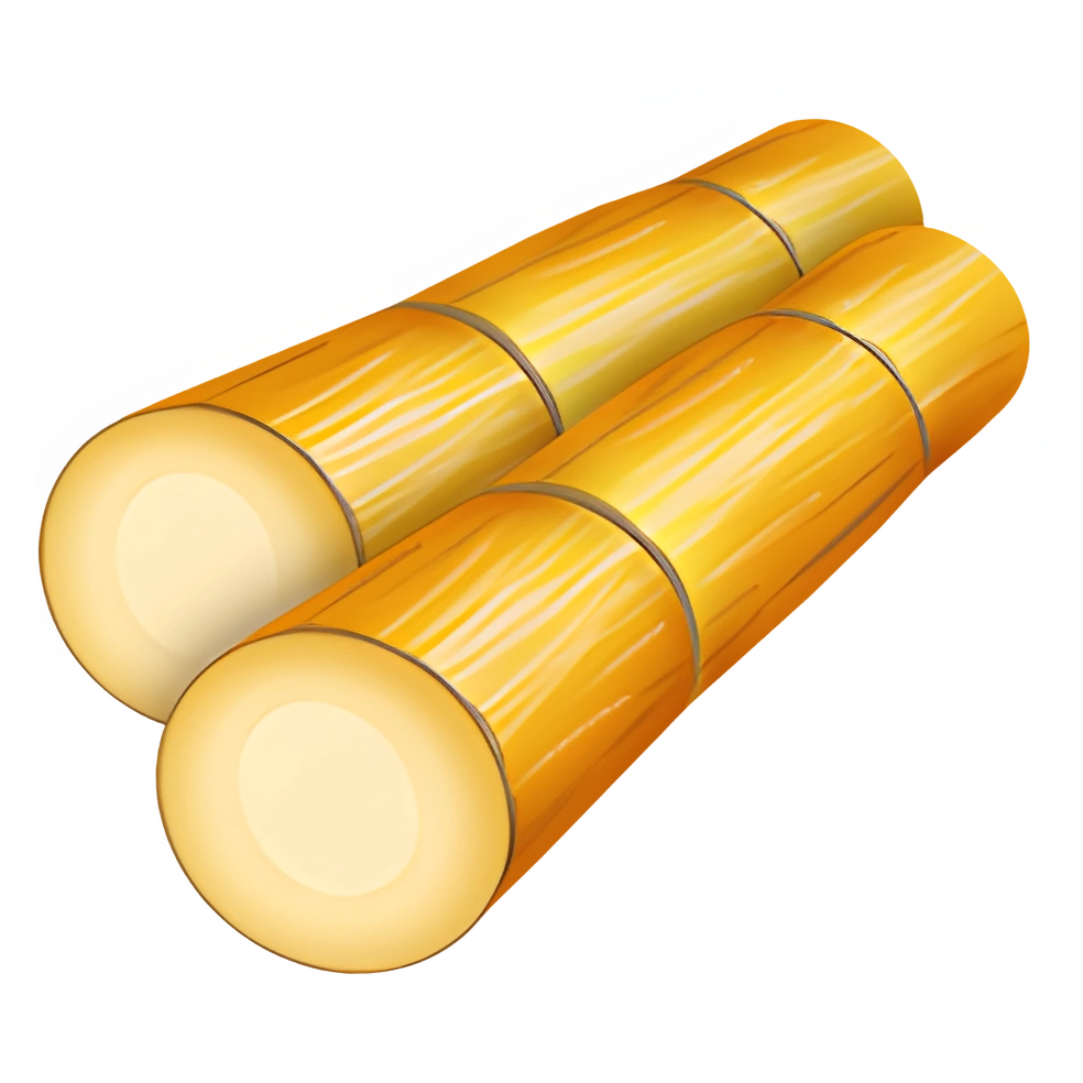 Sugarcane (x150)