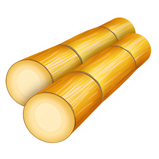 Sugarcane (x150)